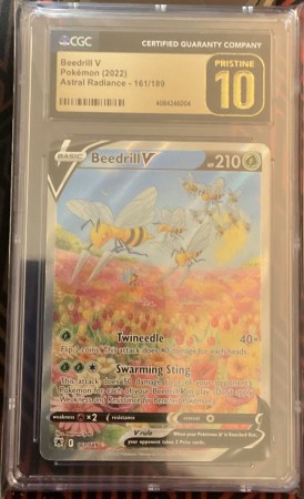 Beedrill V