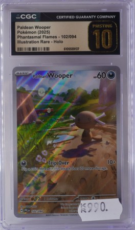 Paldean Wooper