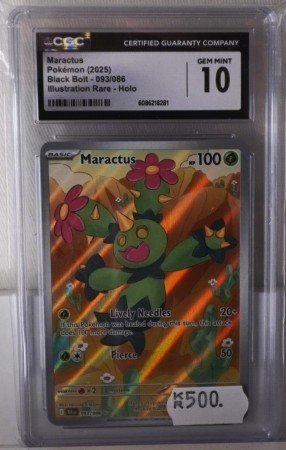 Maractus