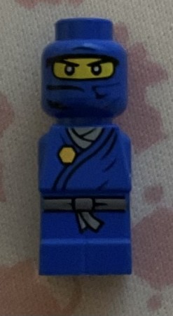 Minifig jay